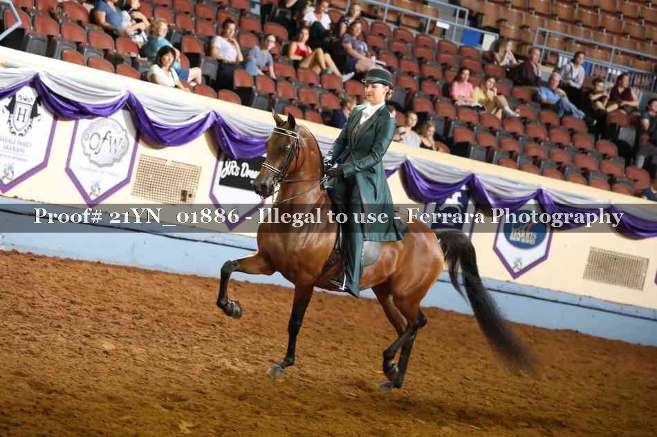 Proof 21YN_01886