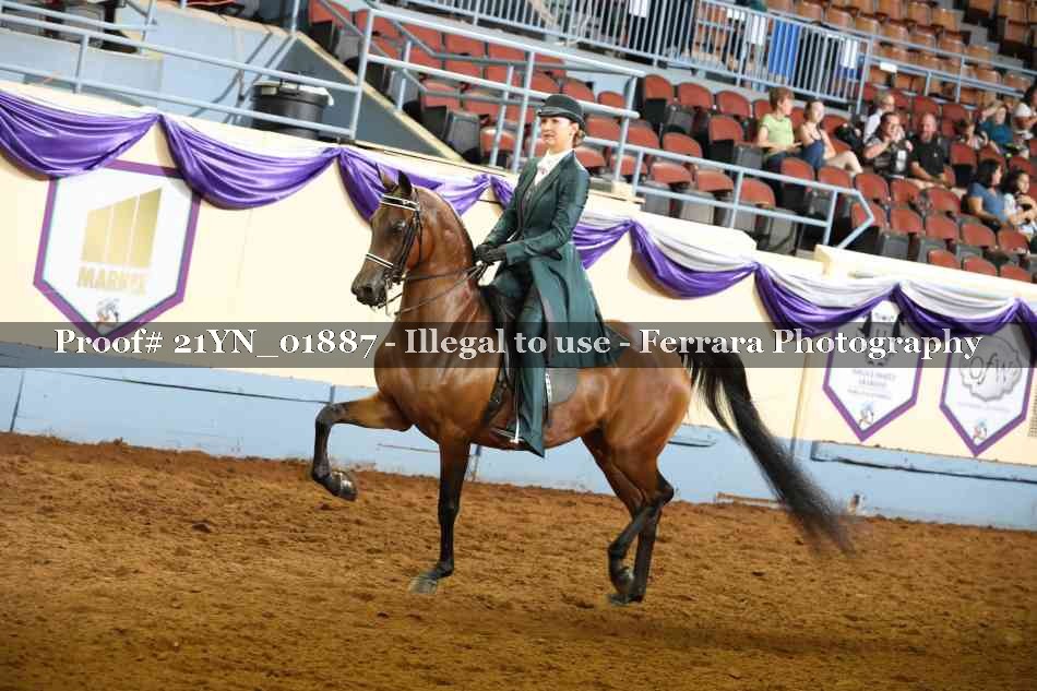 Proof 21YN_01887