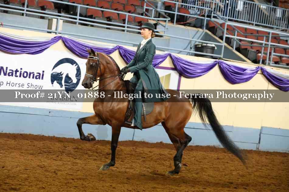 Proof 21YN_01888