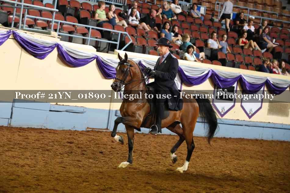 Proof 21YN_01890