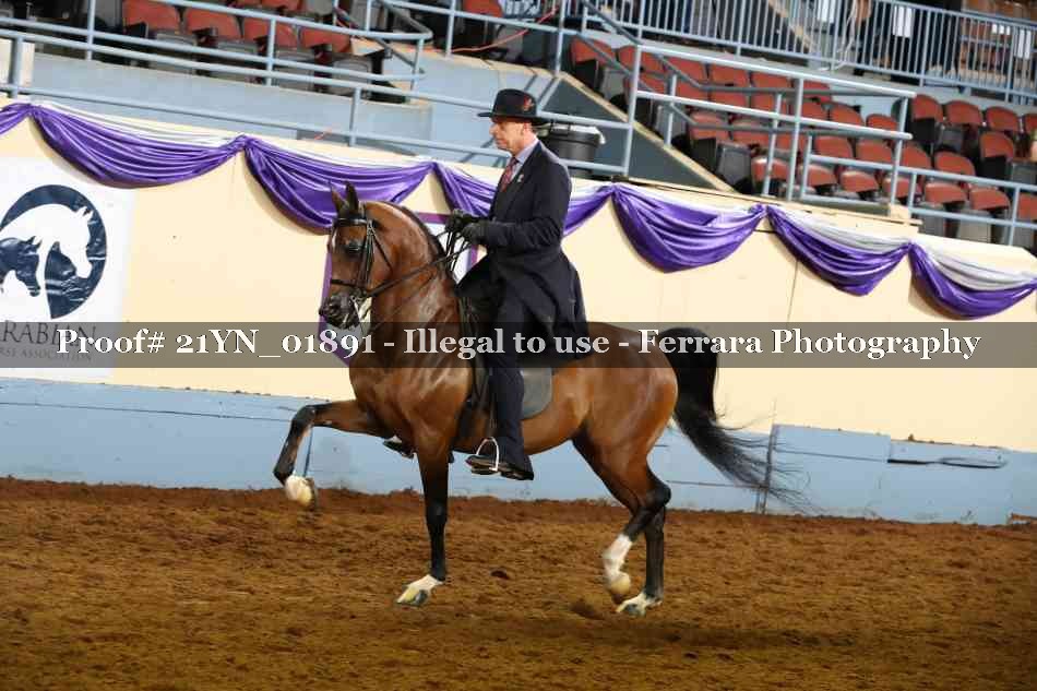 Proof 21YN_01891
