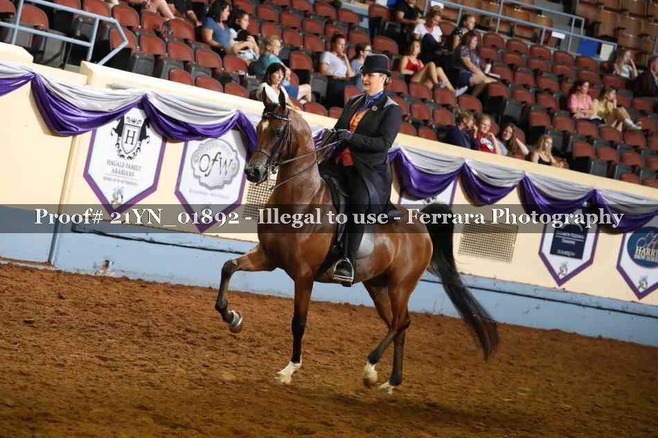 Proof 21YN_01892