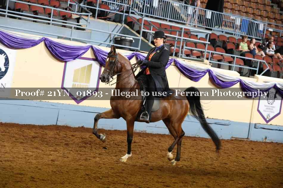 Proof 21YN_01893