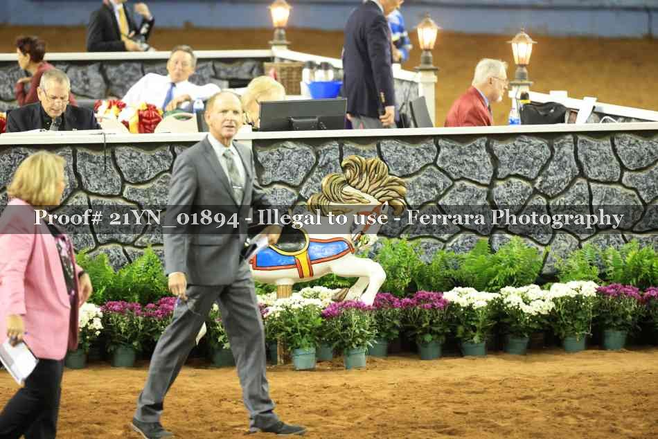 Proof 21YN_01894