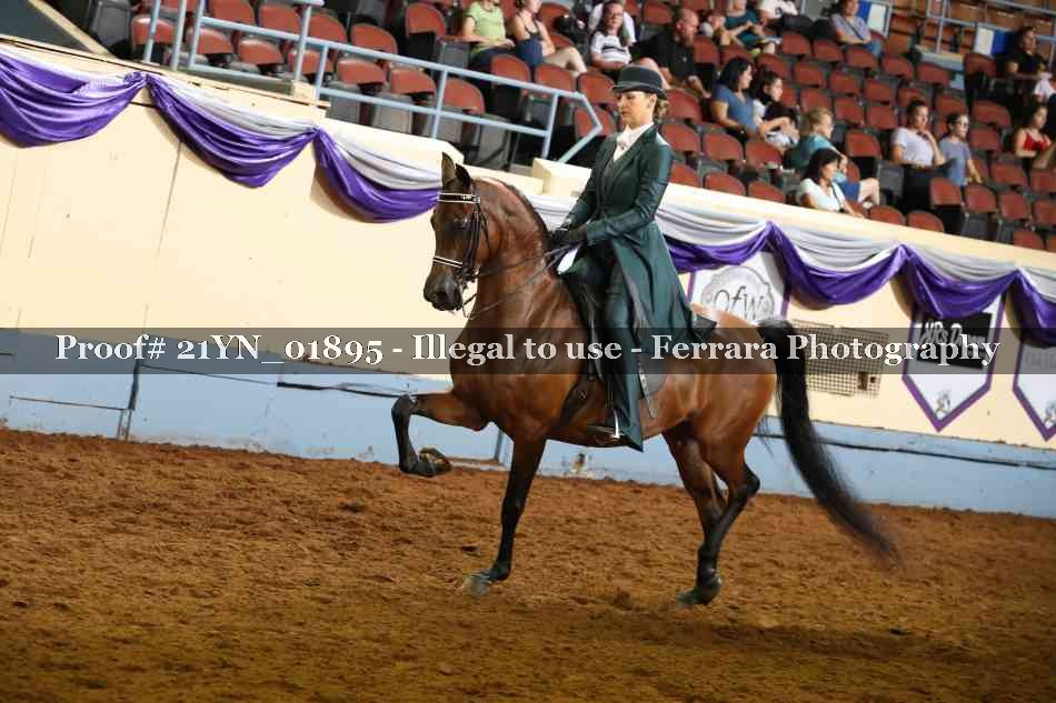 Proof 21YN_01895