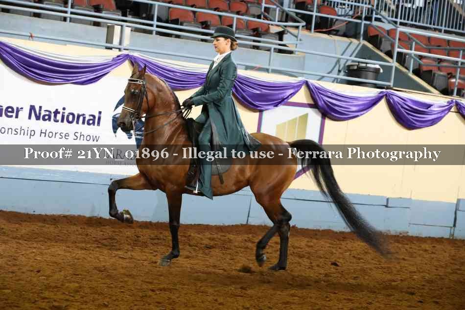 Proof 21YN_01896