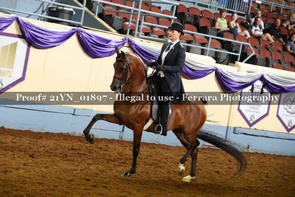 Proof 21YN_01897