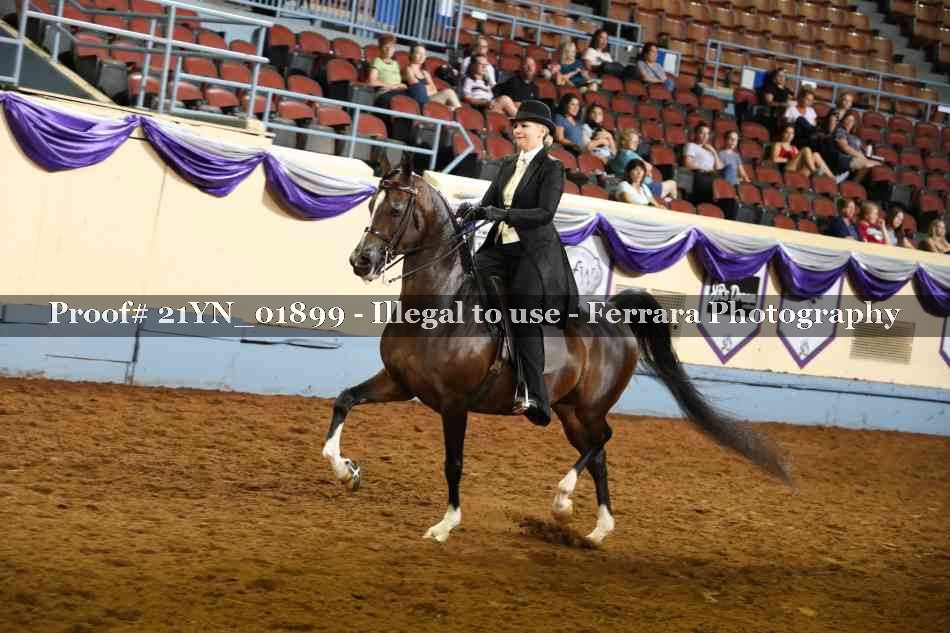 Proof 21YN_01899
