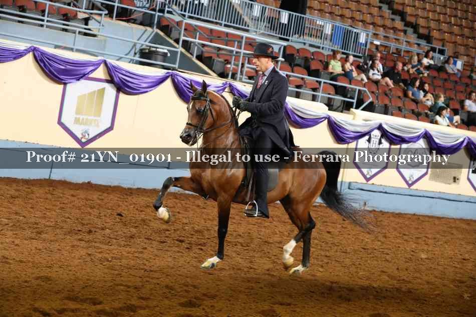 Proof 21YN_01901