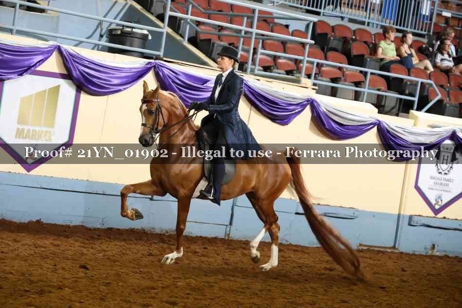 Proof 21YN_01902