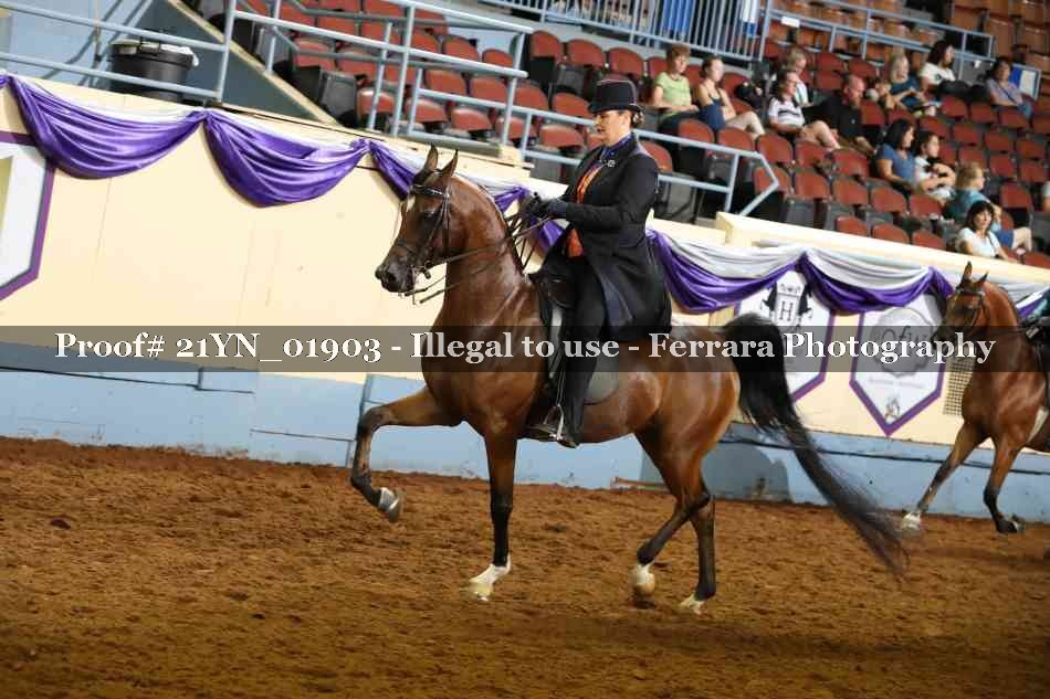 Proof 21YN_01903