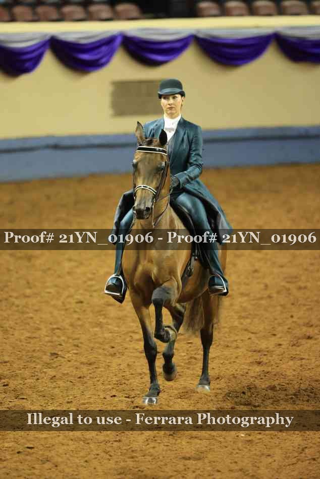 Proof 21YN_01906