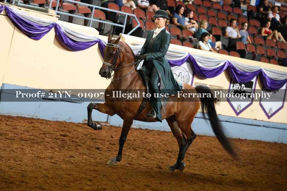 Proof 21YN_01907