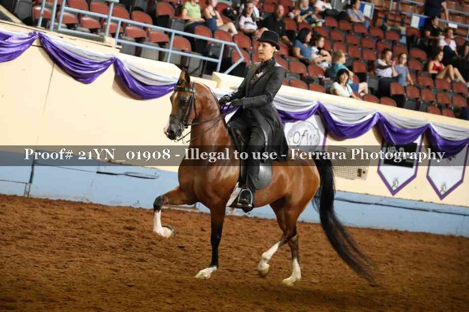 Proof 21YN_01908