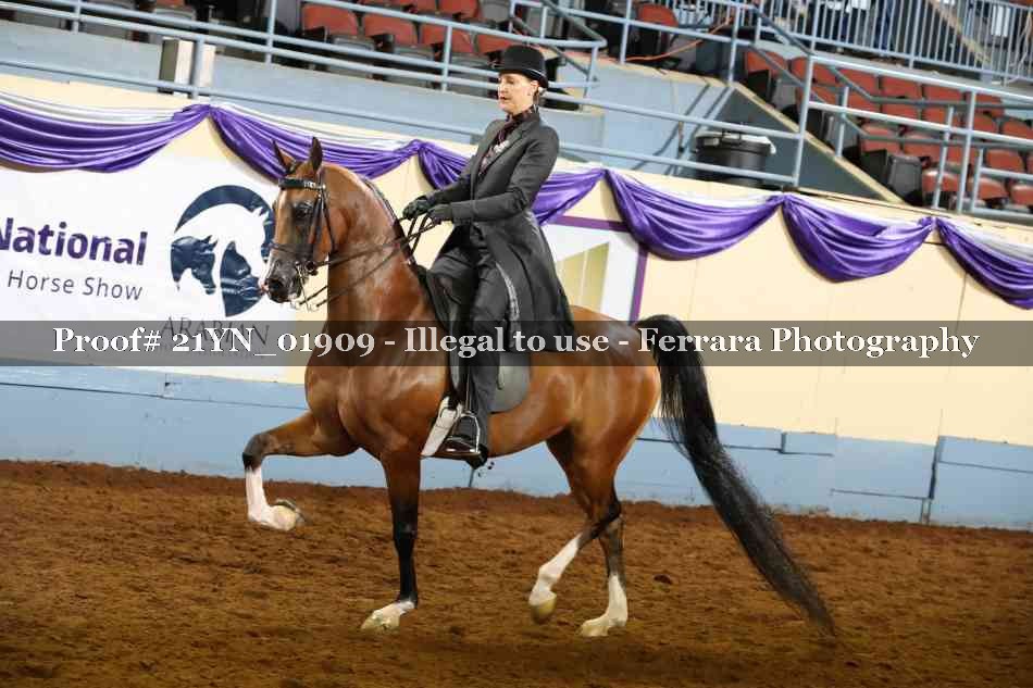 Proof 21YN_01909
