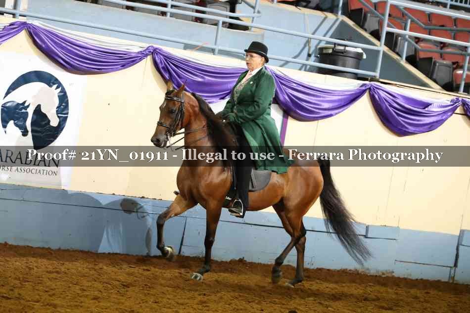 Proof 21YN_01911