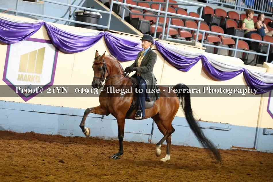 Proof 21YN_01913