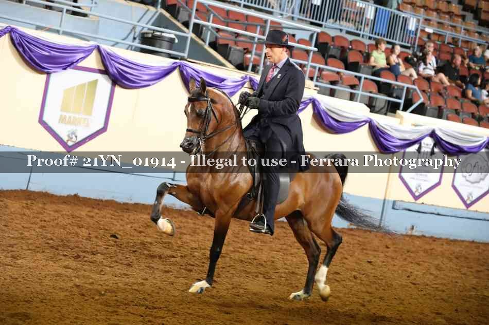 Proof 21YN_01914