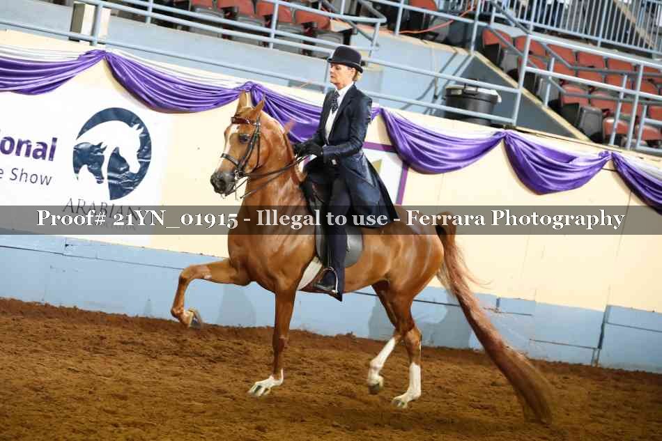 Proof 21YN_01915