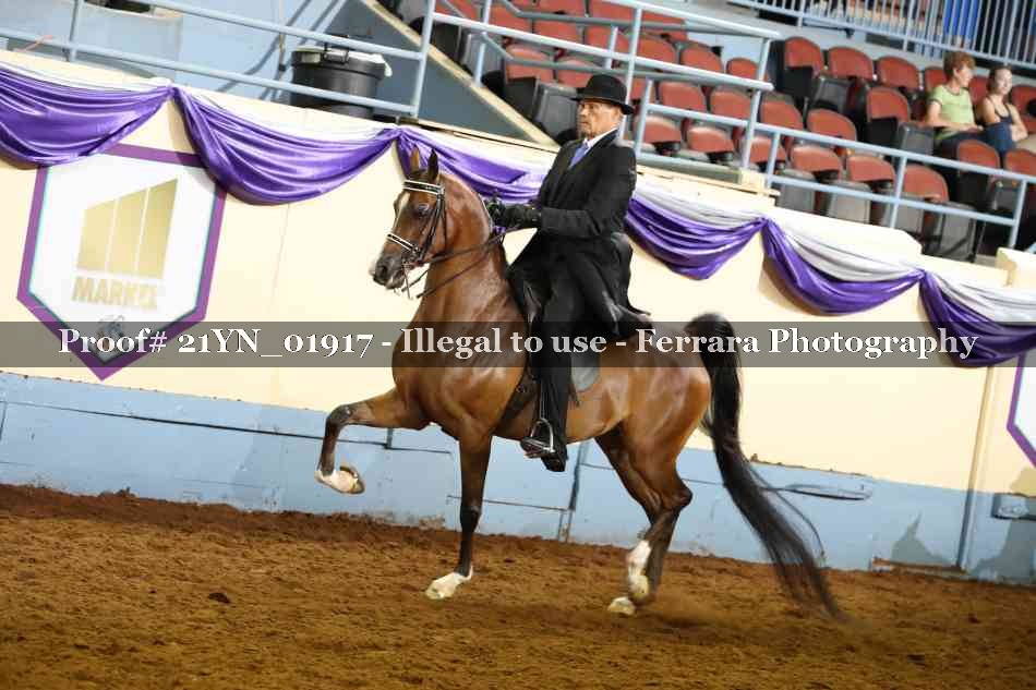 Proof 21YN_01917