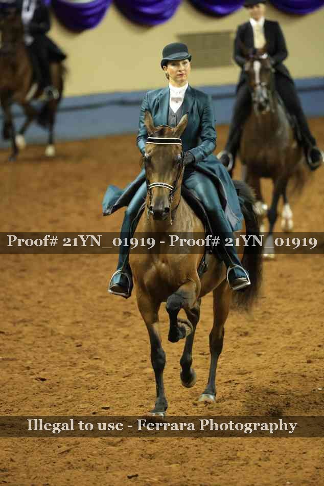 Proof 21YN_01919