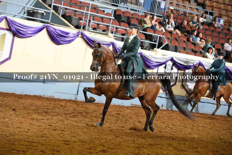 Proof 21YN_01921