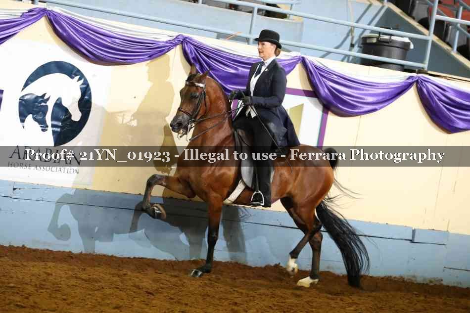 Proof 21YN_01923