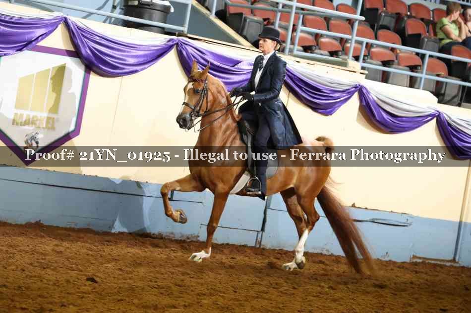 Proof 21YN_01925
