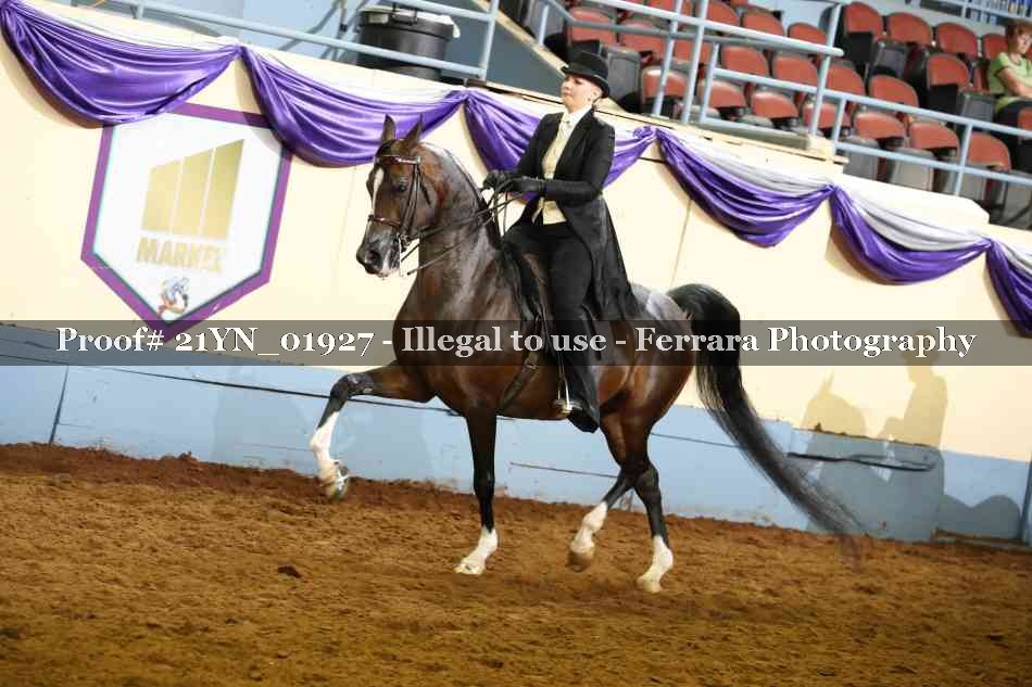 Proof 21YN_01927
