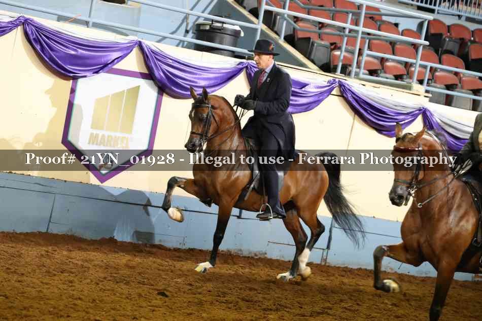 Proof 21YN_01928
