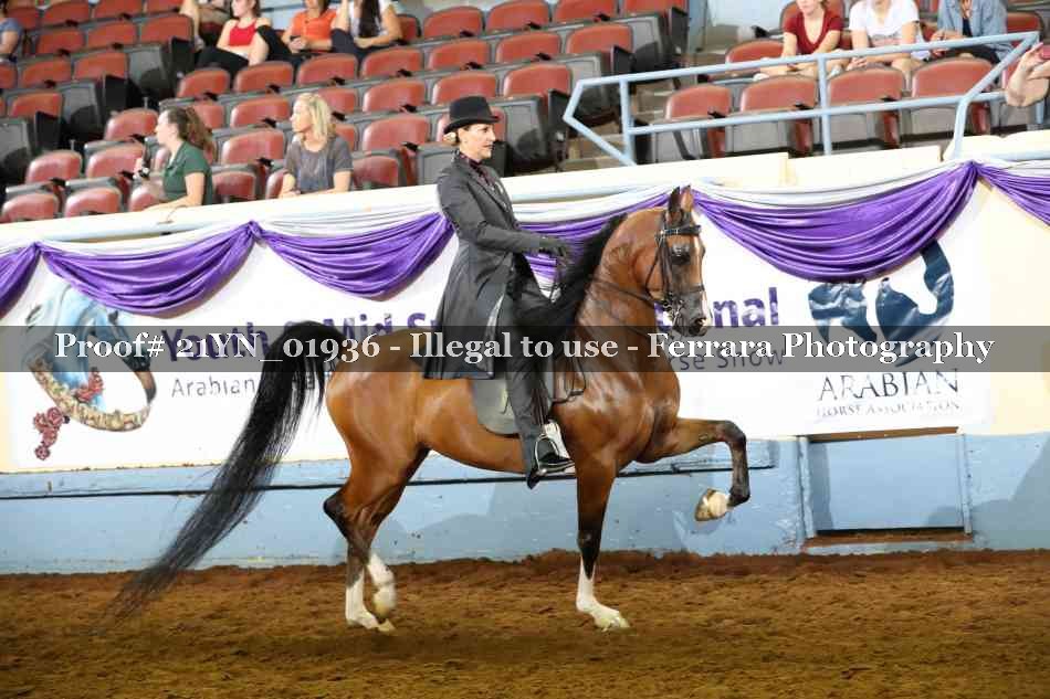 Proof 21YN_01936