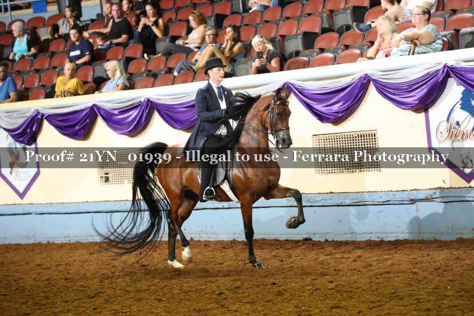 Proof 21YN_01939