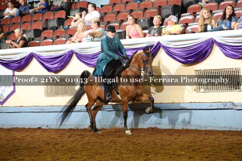 Proof 21YN_01943