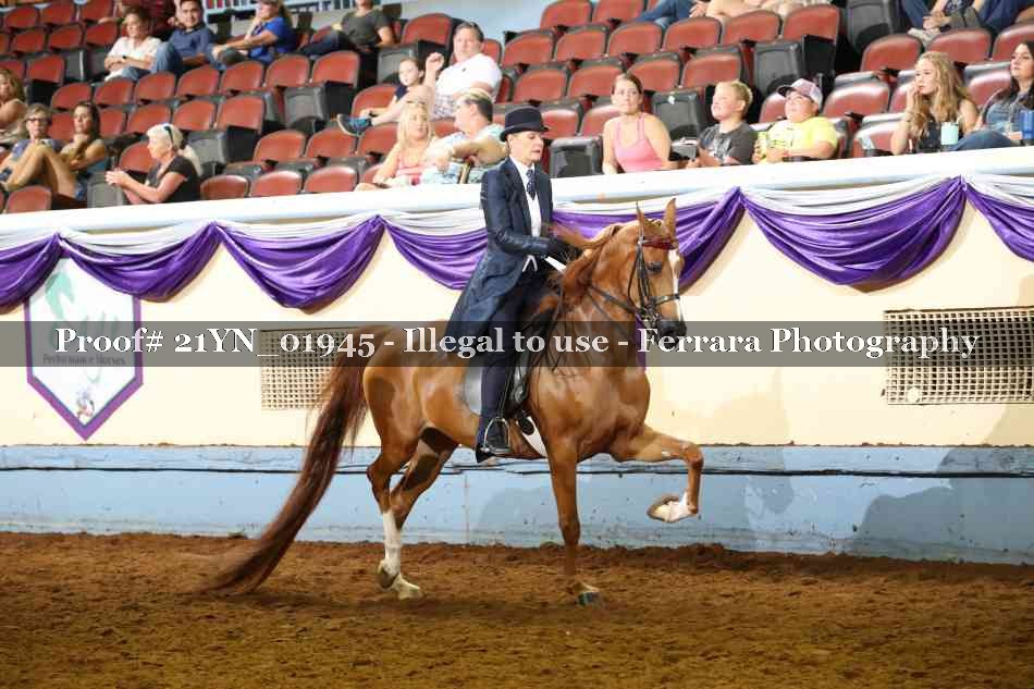 Proof 21YN_01945
