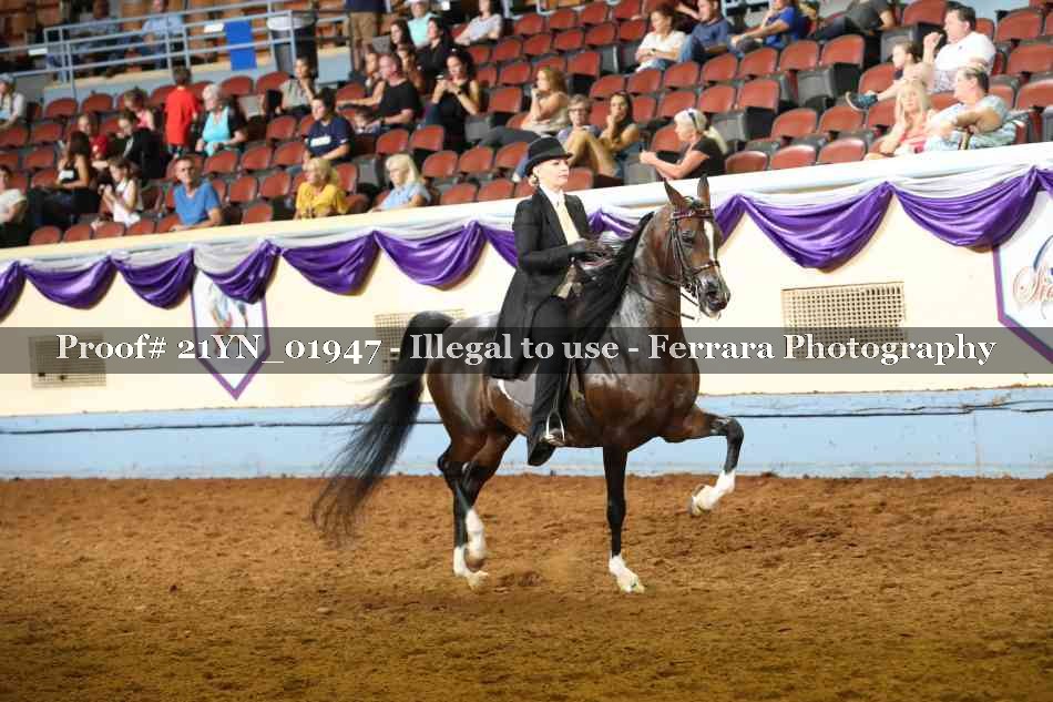 Proof 21YN_01947