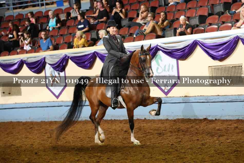 Proof 21YN_01949