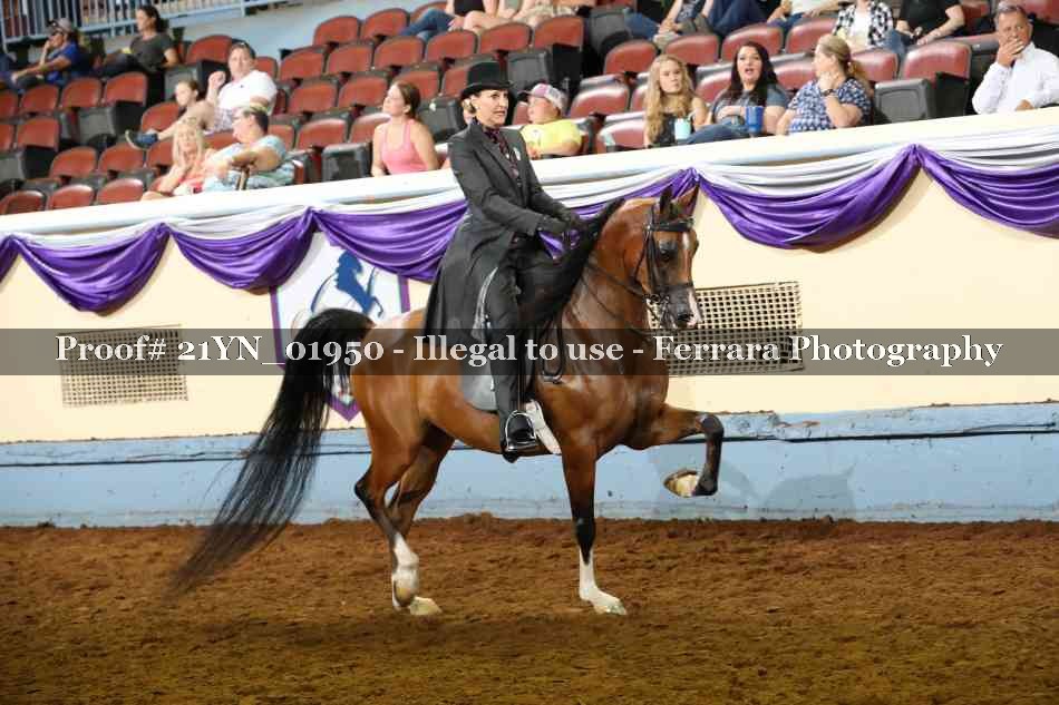 Proof 21YN_01950