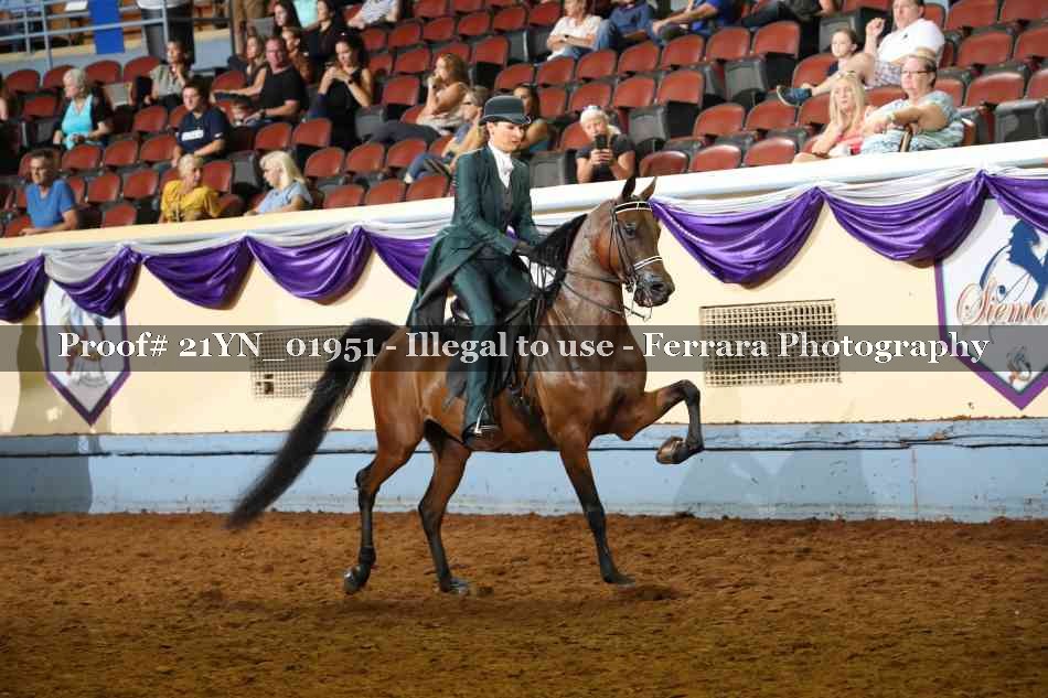 Proof 21YN_01951