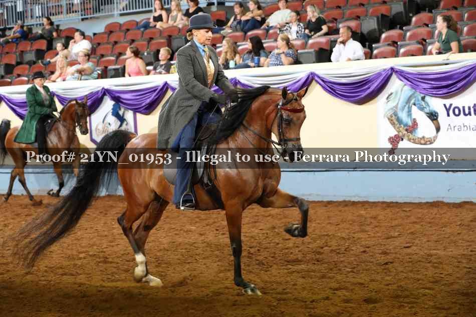 Proof 21YN_01953