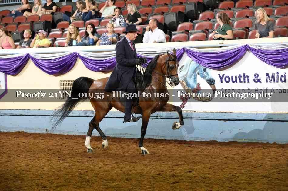 Proof 21YN_01955