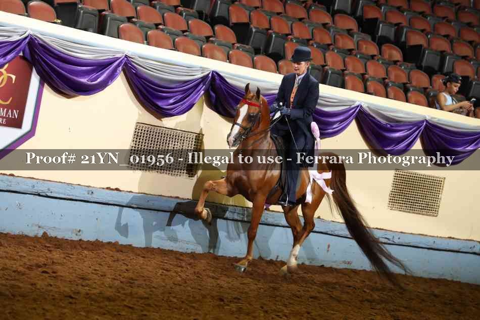 Proof 21YN_01956