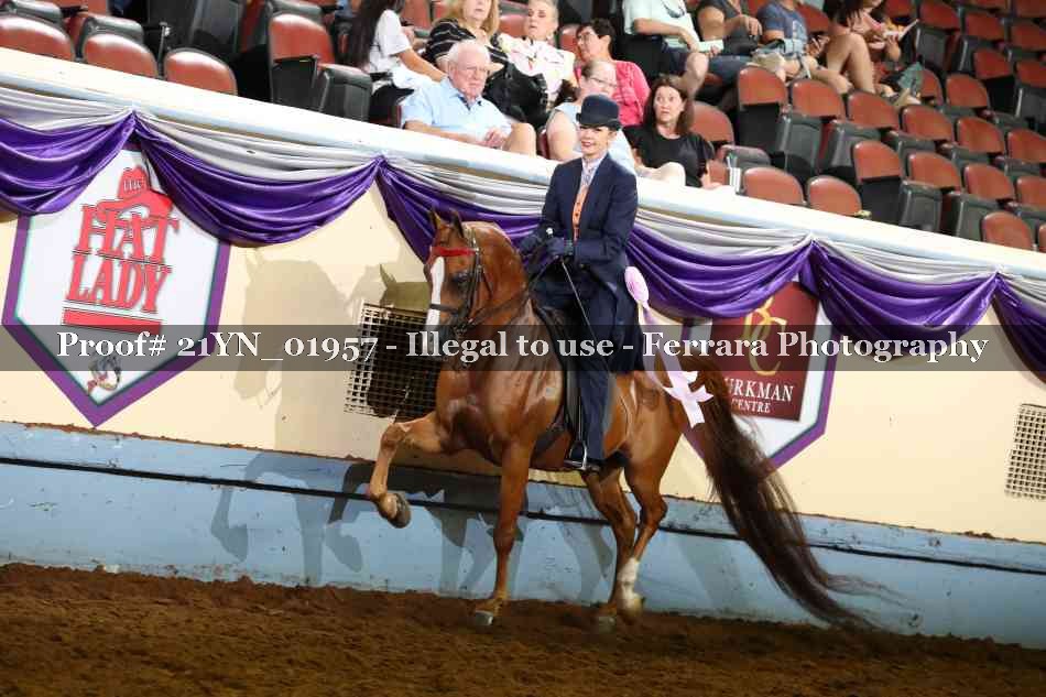 Proof 21YN_01957