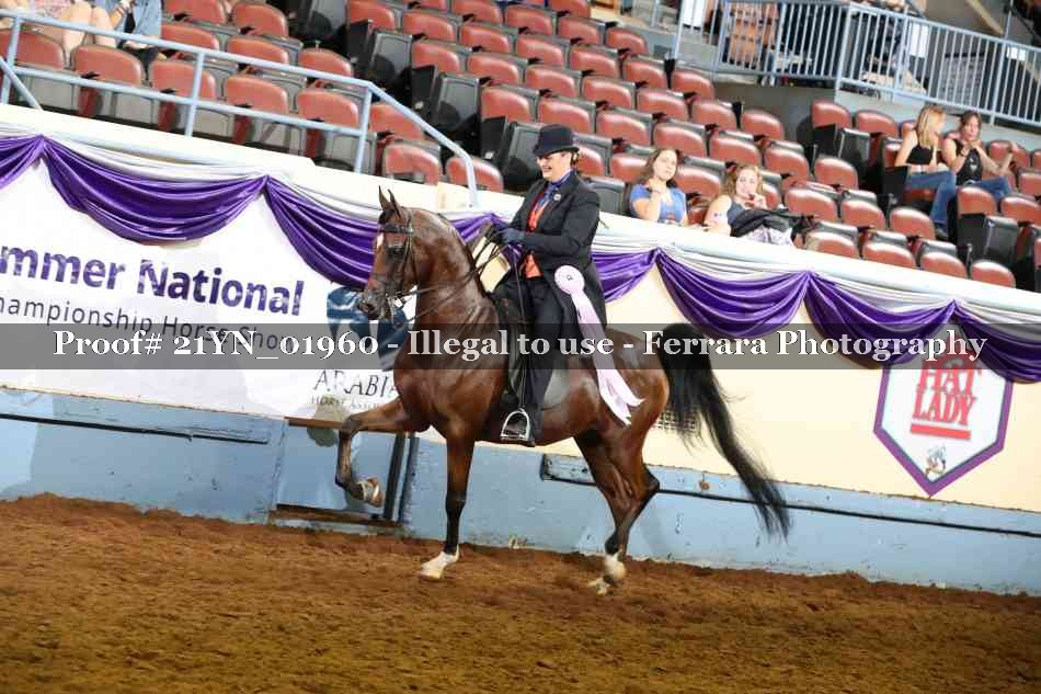 Proof 21YN_01960