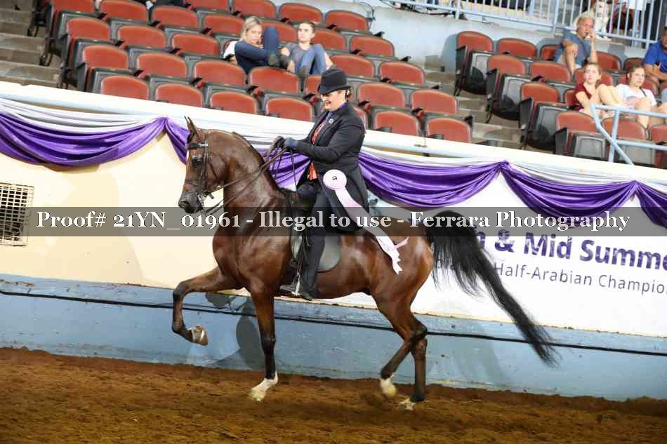 Proof 21YN_01961