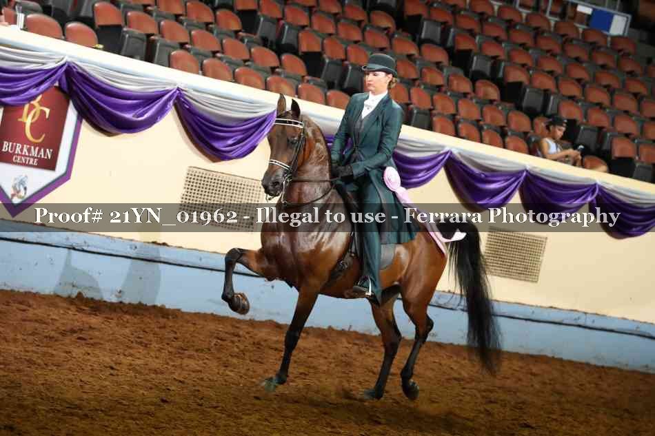 Proof 21YN_01962