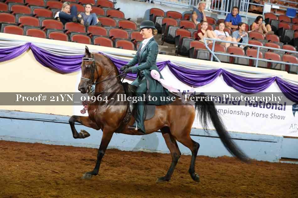 Proof 21YN_01964