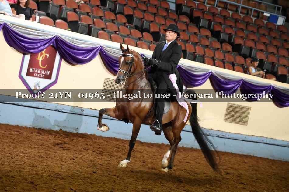 Proof 21YN_01965