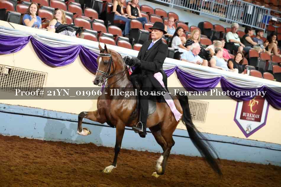 Proof 21YN_01966