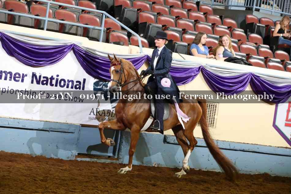 Proof 21YN_01971