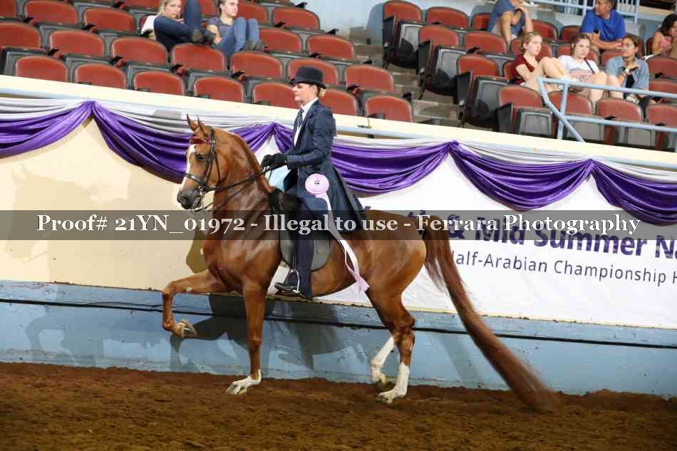 Proof 21YN_01972